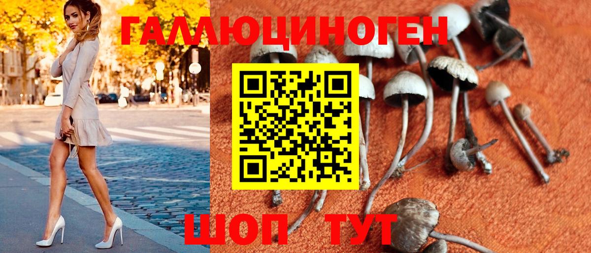 Псилоцибиновые грибы мицелий Ногинск